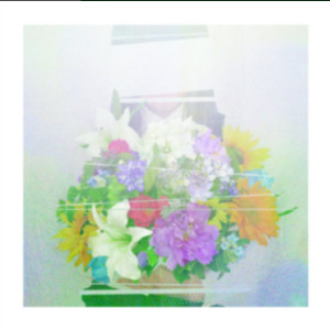飛行 (Flying Free)