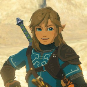 Link BOTW