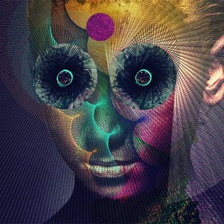 The Insulated World (2018)