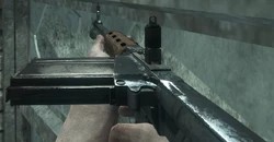 FG42 (WAW)