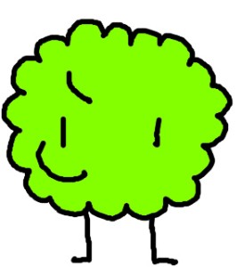 Bush