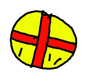 Striped Circle