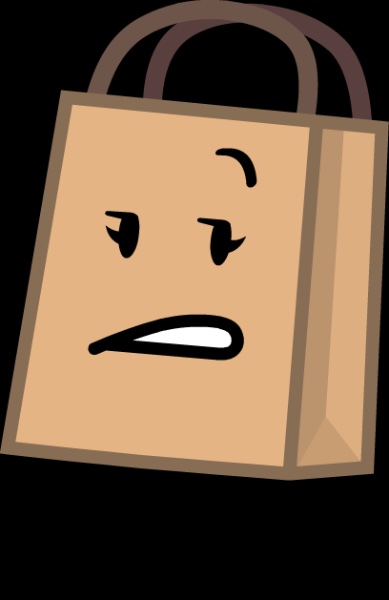 bag