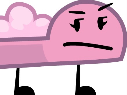 slipper