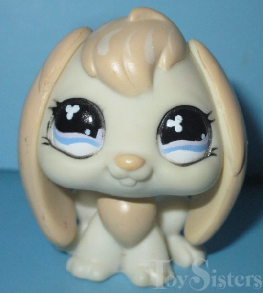 #542