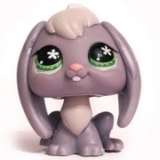 #648