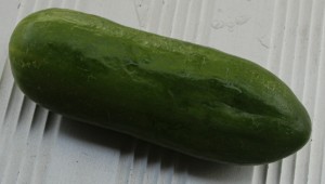 IMG_9133