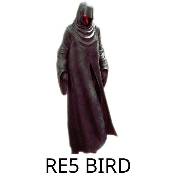 RE5 Bird