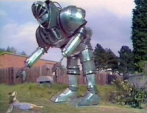 Robot
