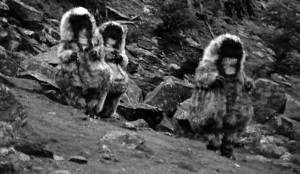 The Abominable Snowmen