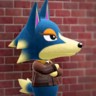 Wolfgang