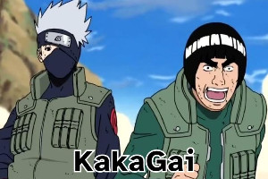 kakagai1