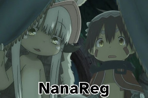 nanareg