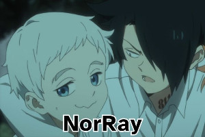 norray