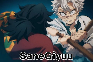 saneg