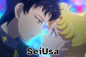 seiusa