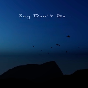 Say Don't Go