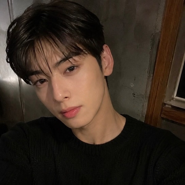 cha eunwoo - astro