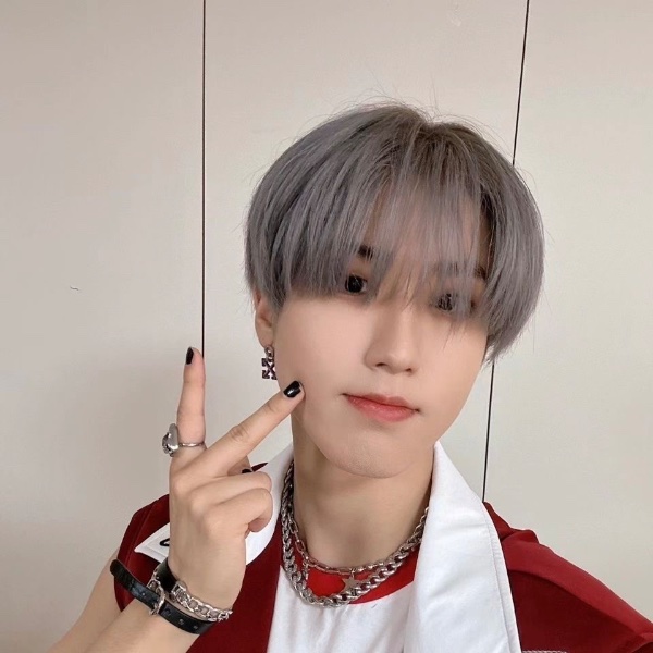 han - stray kids