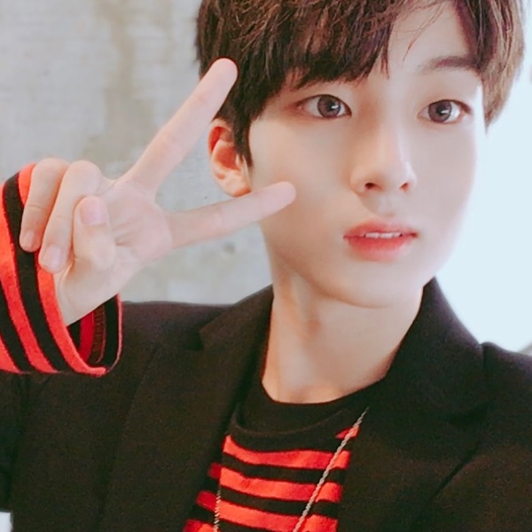 jisung - trcng