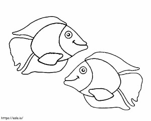 2 fish