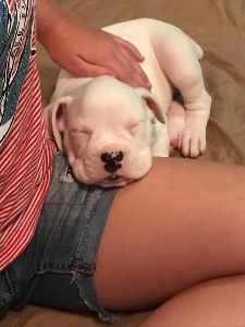 awwwww