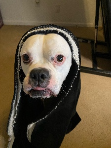 babushka