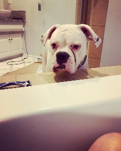 bath time