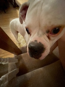 big head
