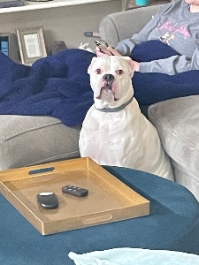 nervous