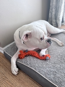 side eye