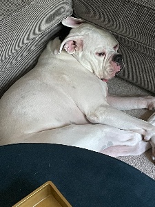 squish