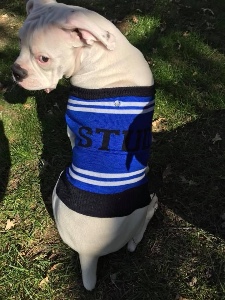 stud