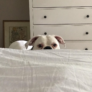 ur in danger