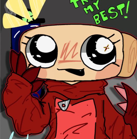 Shelly