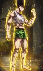 Gon Adulte