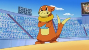 Buizel