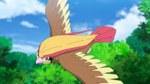 Pidgeot