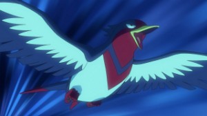 Swellow