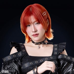 Zyn_Miwji
