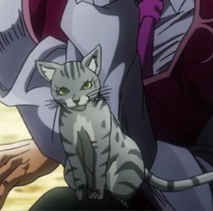 D'arby's cat