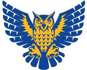 Rainy River Owls