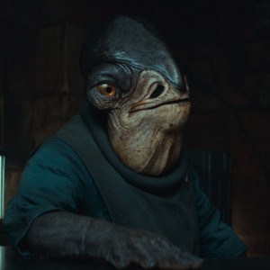 Admira Raddus