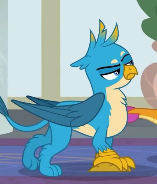 Gallus