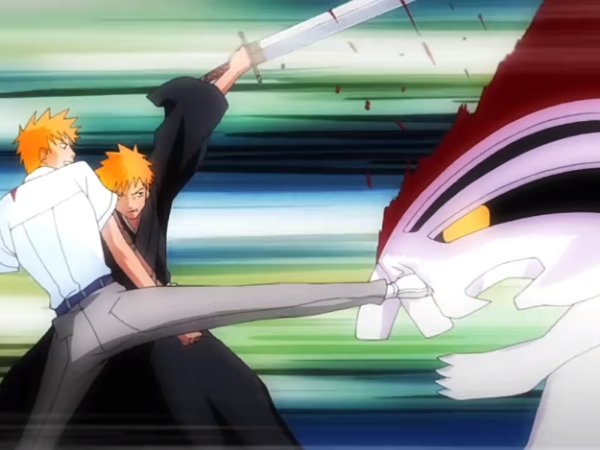 Ichigo & Kon VS Hollow