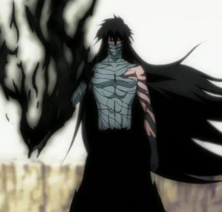 Ichigo VS Aizen