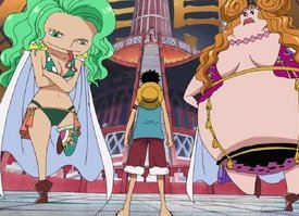 Luffy VS Marigold & Sandersonia