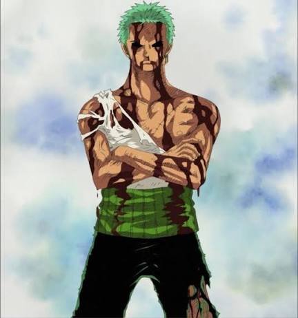 Zoro & Sanji VS Kuma