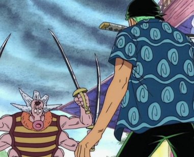 Zoro VS Hachi