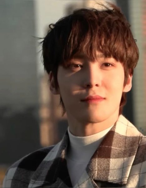 chocolate fringe